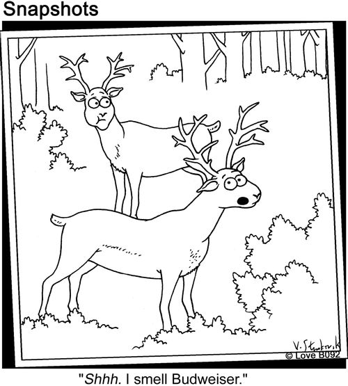 Deer Smells Budweiser.