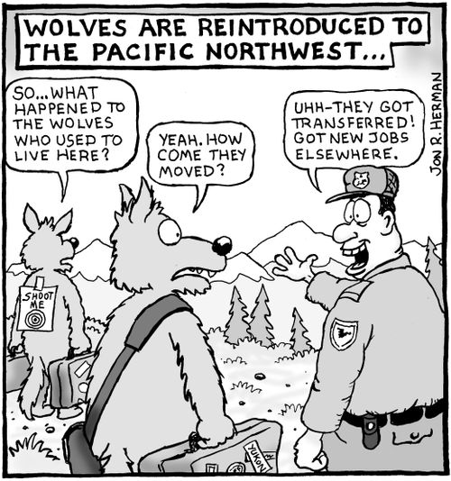 Wolf Reintroduction.