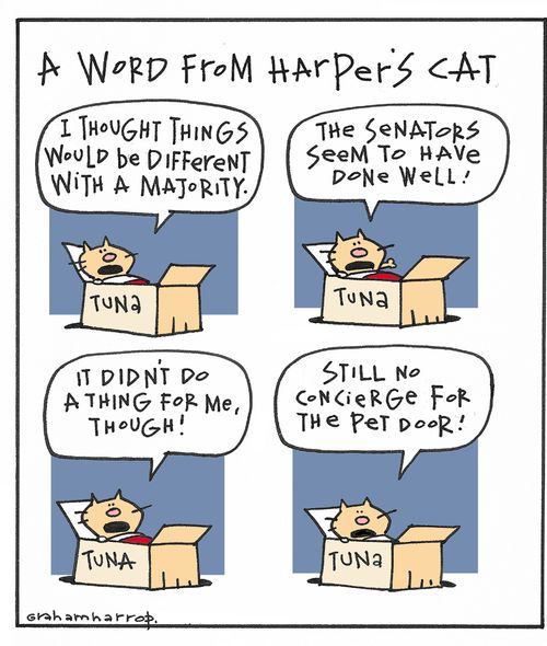 Another word from Stephen Harper's cat