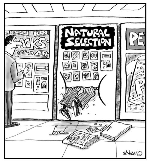 Natural Selection vending machine.