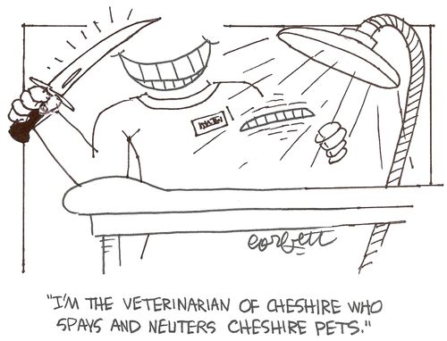 'I'm the veterinarian of Cheshire who spays and neuters Cheshire pets.'