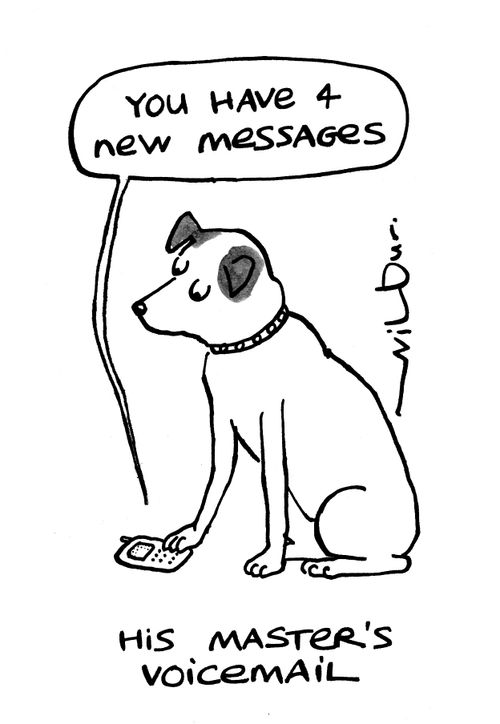 His masters voicemail.
