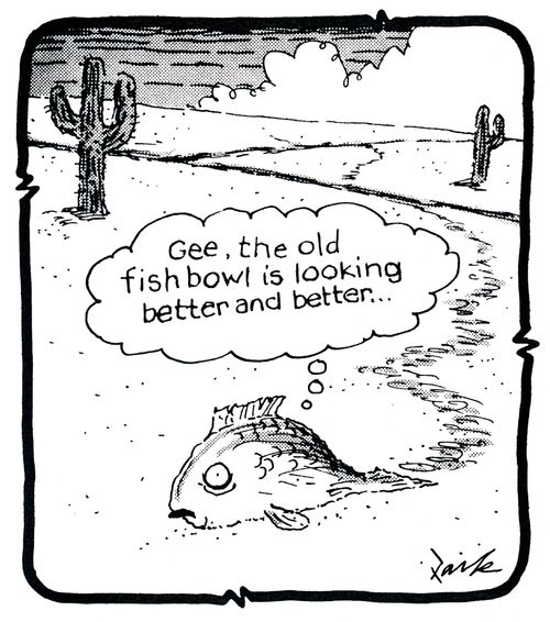 'Gee, the old fish bowl is looking better and better...'