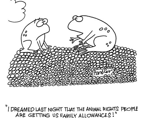 'I dreamed last night that the animal rights people are getting us family allowances!'