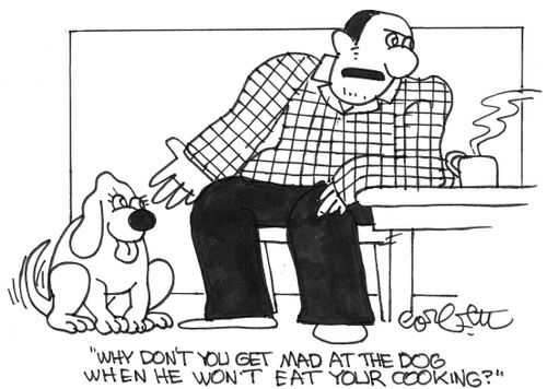 'Why don't you get mad at the dog when he won't eat your cooking?' 