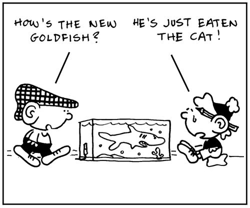 'How's the new goldfish? He's just eaten the cat.'