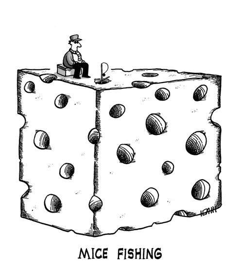 Mice Fishing.