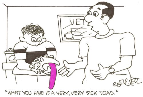 'What you have is a very, very sick toad.'