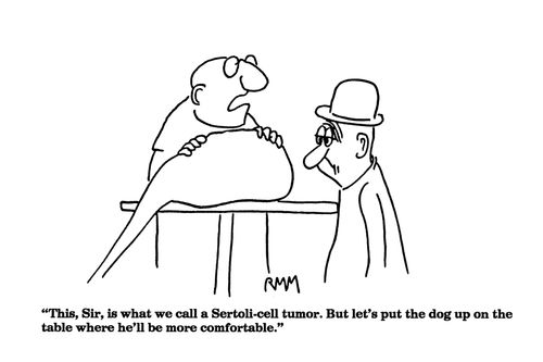 'This, Sir, is what we call a Sertoli-cell tumor....'
