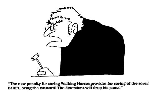 'The new penalty for soring Walking Horses provides for soring of the sorer!...