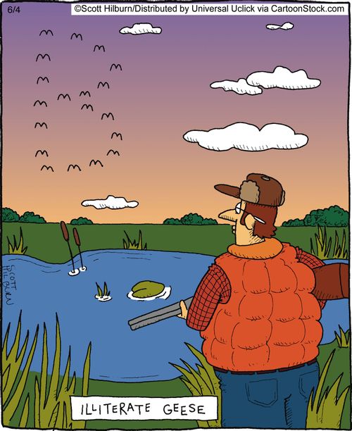 Illiterate Geese.