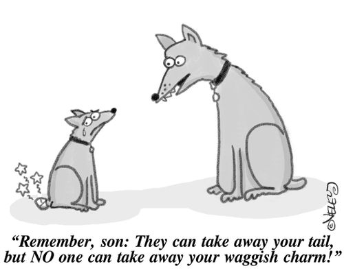 'Remember, son: They can take away your tail, but NO one can take away your waggish charm!'
