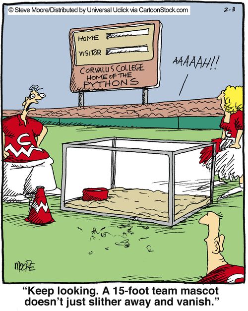'Keep looking. A 15-foot team mascot doesn't just slither away and vanish.'