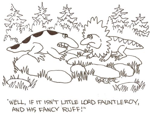 'Well, if it isn't Little Lord Fauntleroy, and his fancy ruff!'