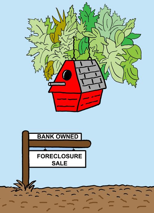 Birdhouse: Bank Owned - Foreclosure/Sale.