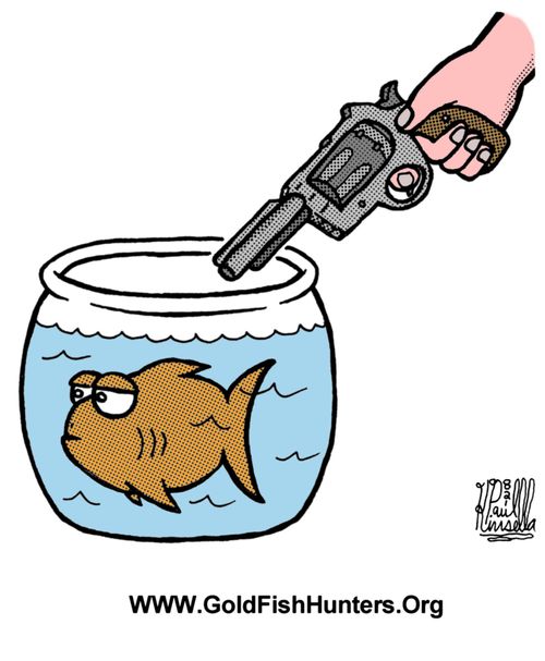 www.GoldFishHunters.Org 