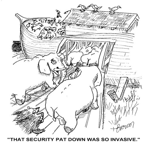 'That security pat down was so invasive.'