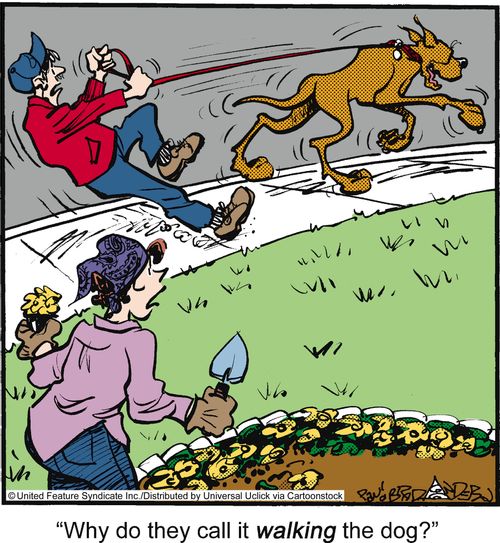 'Why do they call it walking the dog?'