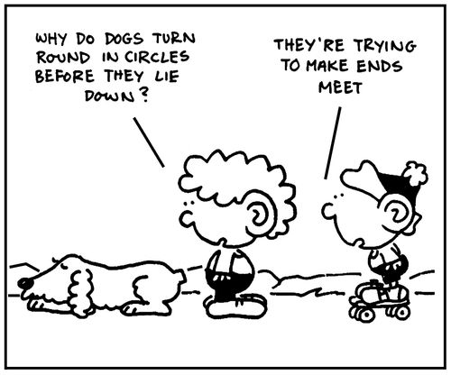 'Why do dogs turn round in circles before they lie down?'
