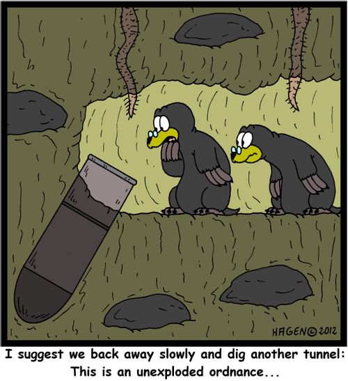 'I suggest we back away slowly and dig another tunnel: This is an unexploded ordnance...'