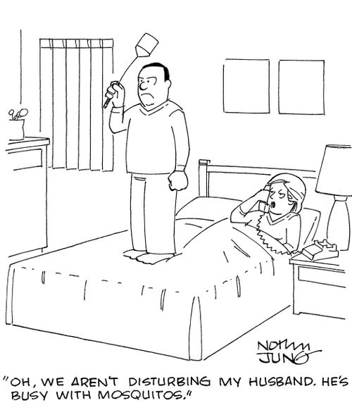 'Oh, we aren't disturbing my husband. He's busy with mosquitos.'