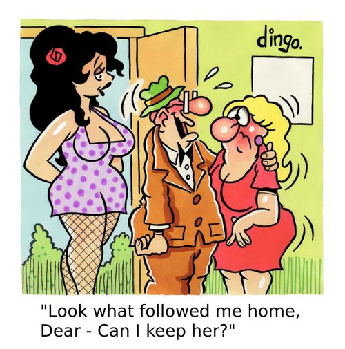 'Look what followed me home, Dear - Can I keep her?'