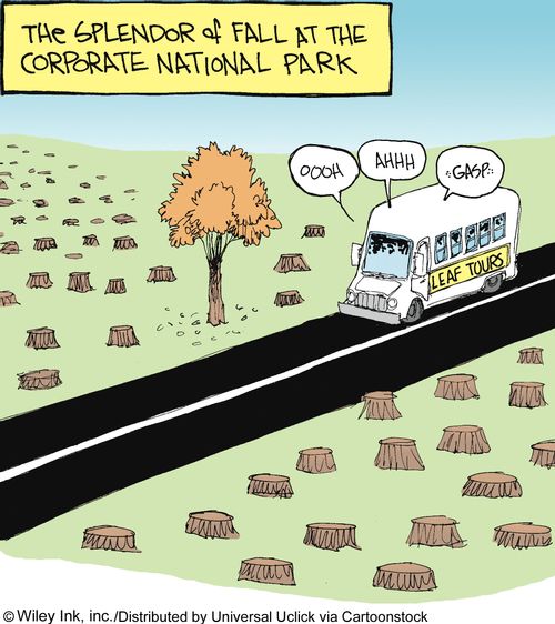 The splendor of fall at the corporate national park.