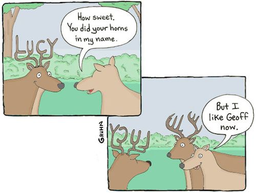 Valentines Day in the Animal Kingdom