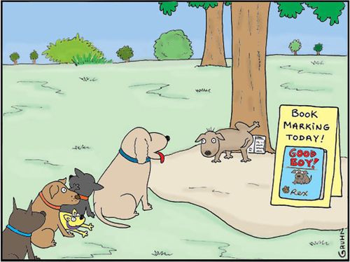 A Dogs book signing.