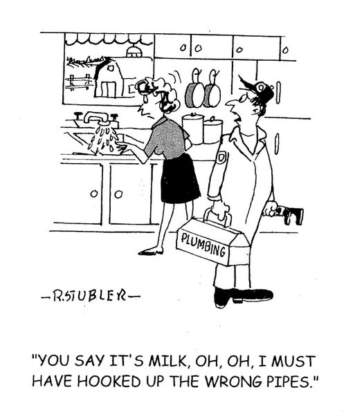 'You say it's milk, oh, oh, I must have hooked up the wrong pipes.'