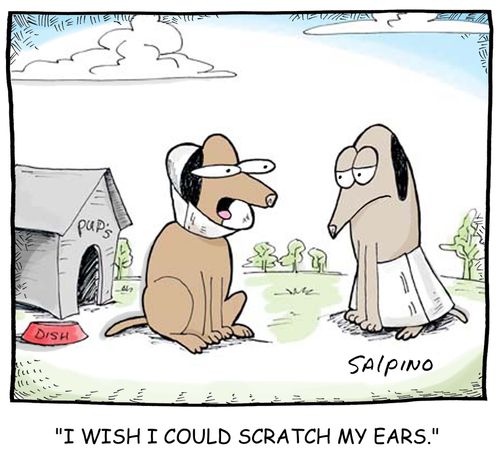 'I wish I could scratch my ears.'