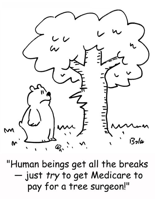 'Human beings get all the breaks -- just TRY to get Medicare to pay for a tree surgeon!'
