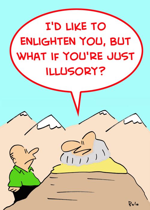 'I'd like to enlighten you, but what if you're just illusory?'