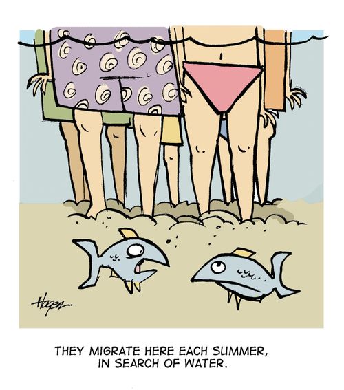 They migrate here each summer in search of water.