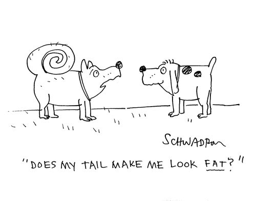 'Does my tail make me look fat?'