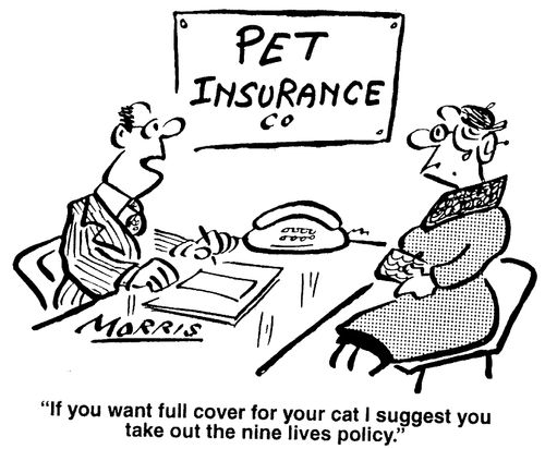 If you want full cover for your cat I suggest you take out the nine lives policy.