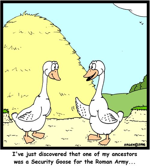'I've just discovered that one of my ancestors was a Security Goose for the Roman Army...'