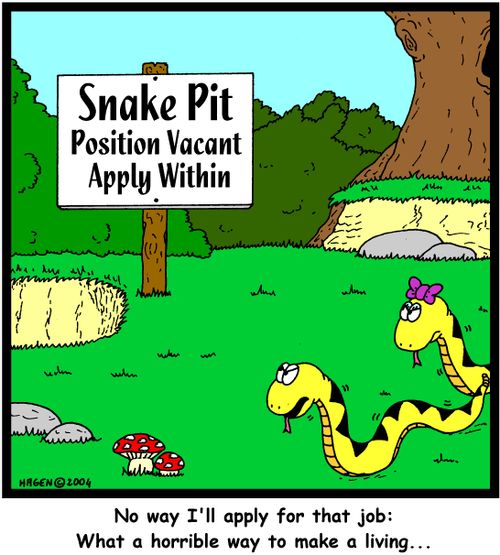 'What a horrible way to make a living...'
