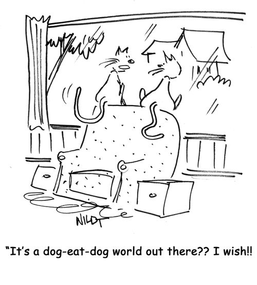 It's a dog-eat-dog world out there?? I wish!!
