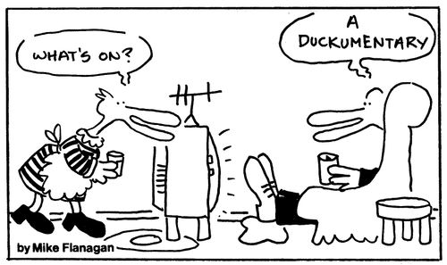 What's on? A duckumentary.