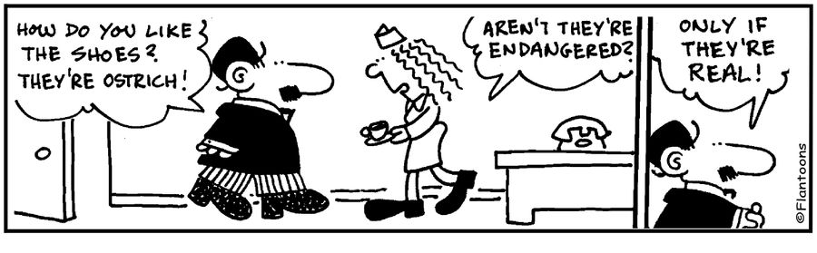 How do you like the shoes? They're ostrich!