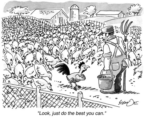The Lone Rooster.