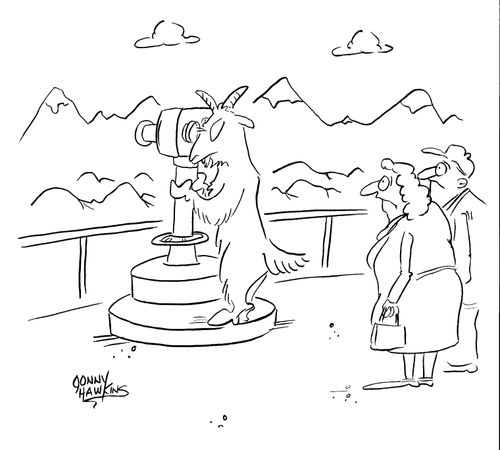 Mountain goat using tourists telescope.