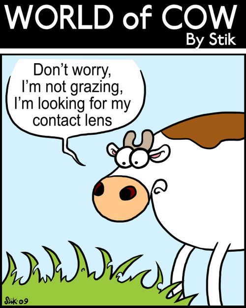 Don't worry, I'm not grazing, I'm looking for my contact lens!