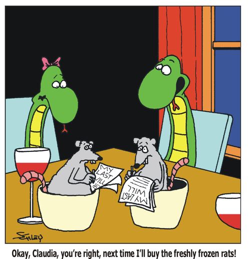 'Okay, Claudia, you're right, next time I'll buy freshly frozen rats!'