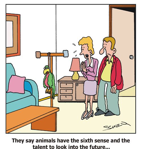 They say animals have the sixth sense and the talent to look into the future...