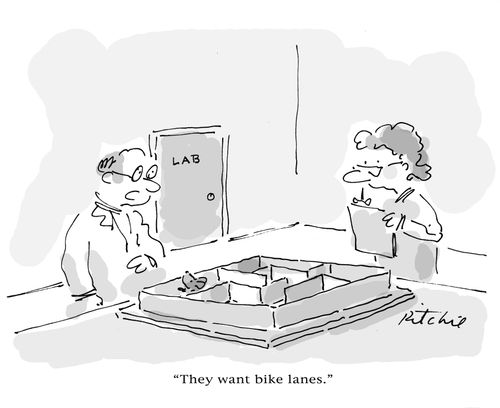 'They want bike lanes.'