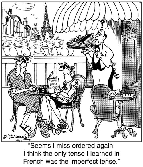  'Seems I miss ordered again. I think the only tense I learned in French was the imperfect tense.'