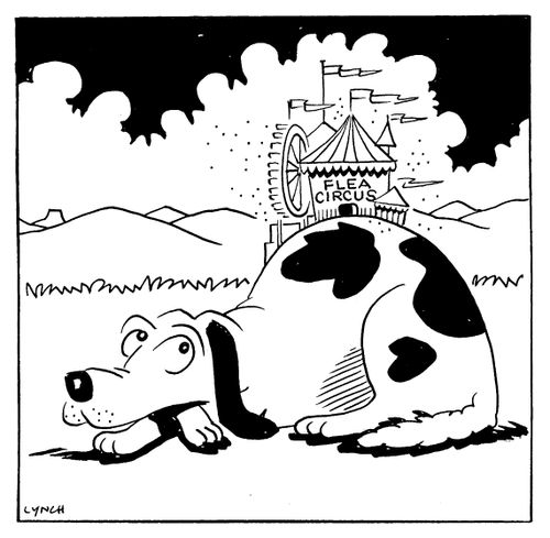 Dog and Flea Circus