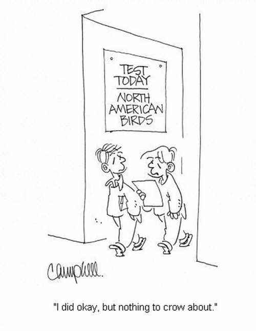 'I did okay, but nothing to crow about.'